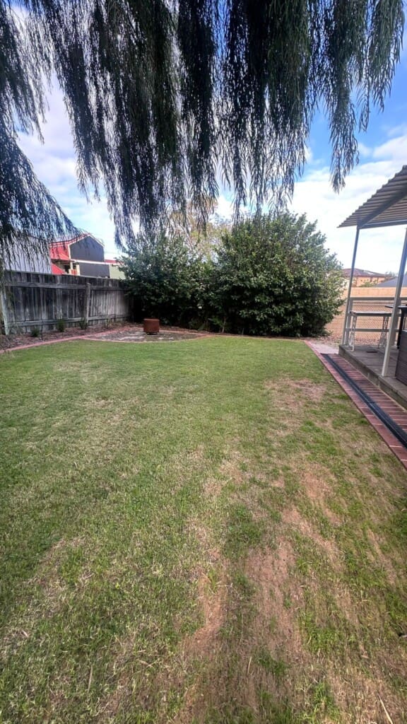 180c2a8f bbe0 41ad 84bf 35b95a91dda5