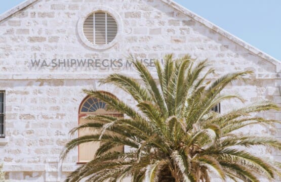 1fdc8c56 c525 46a6 bdbc d1470a8575a7