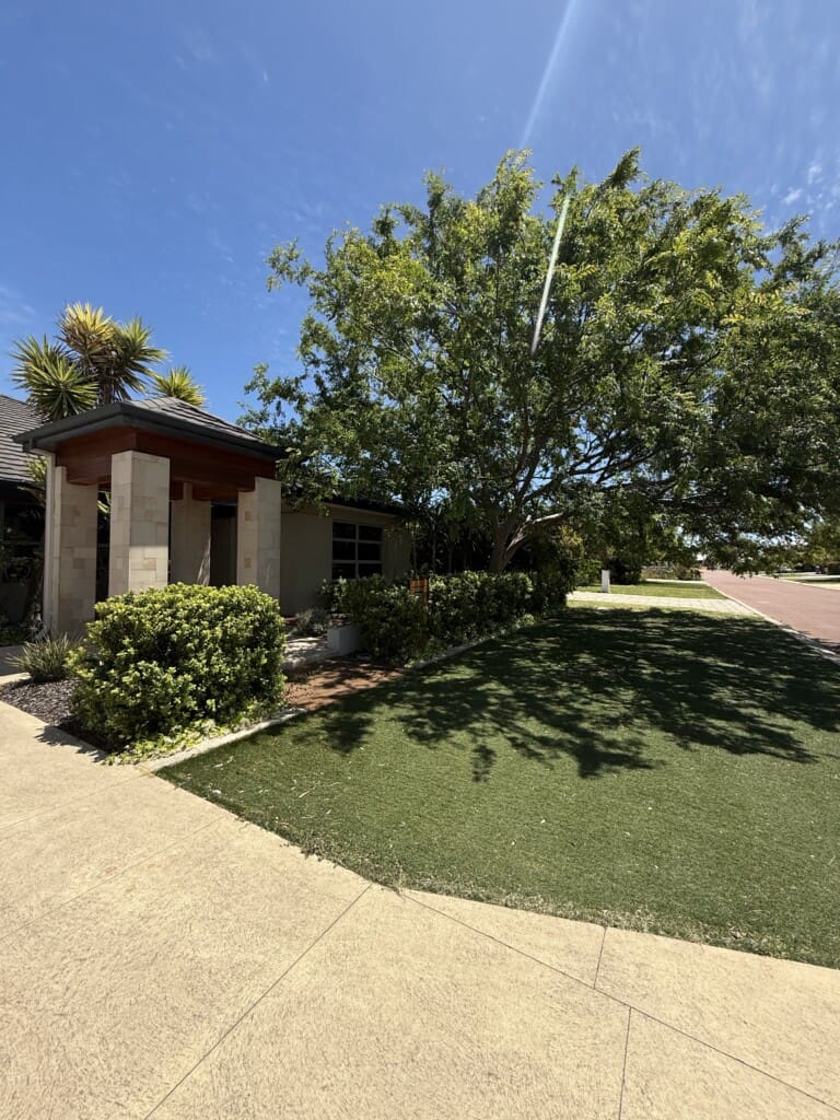 2e00b258 8d85 42ec b416 4ad42d15beb4