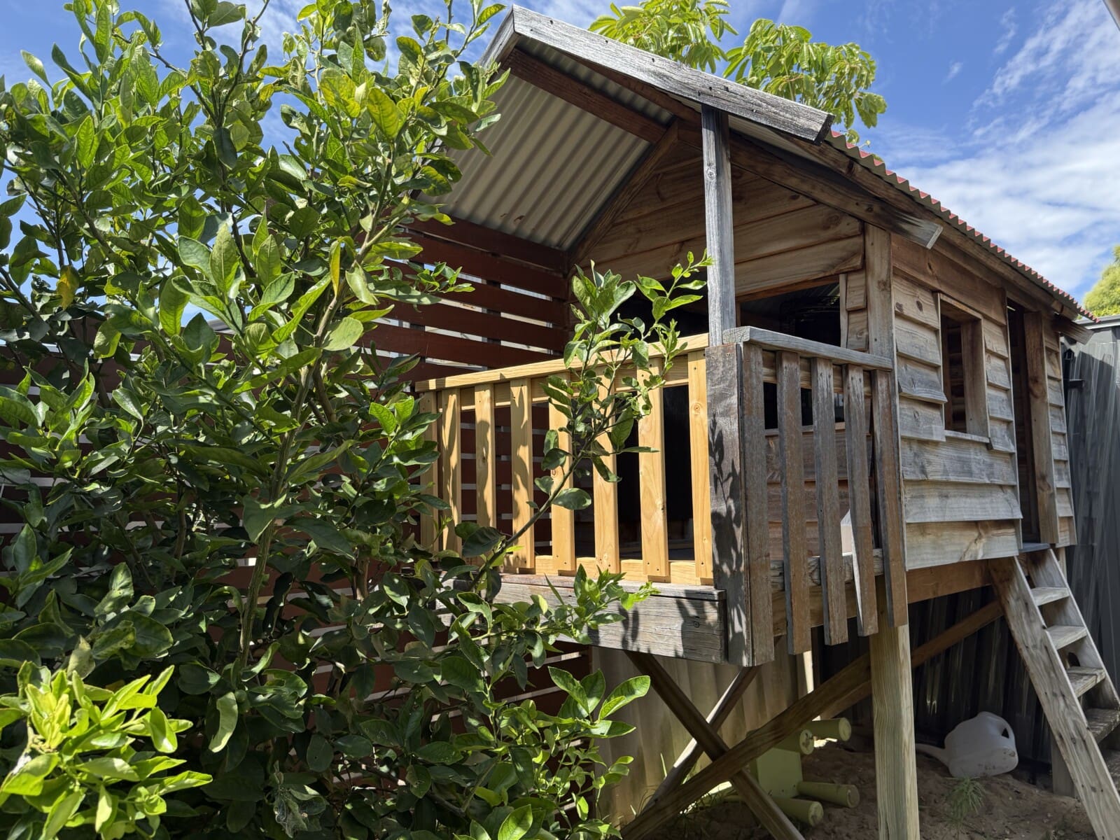 Photo 2 12 2025, 2 13 16 pm