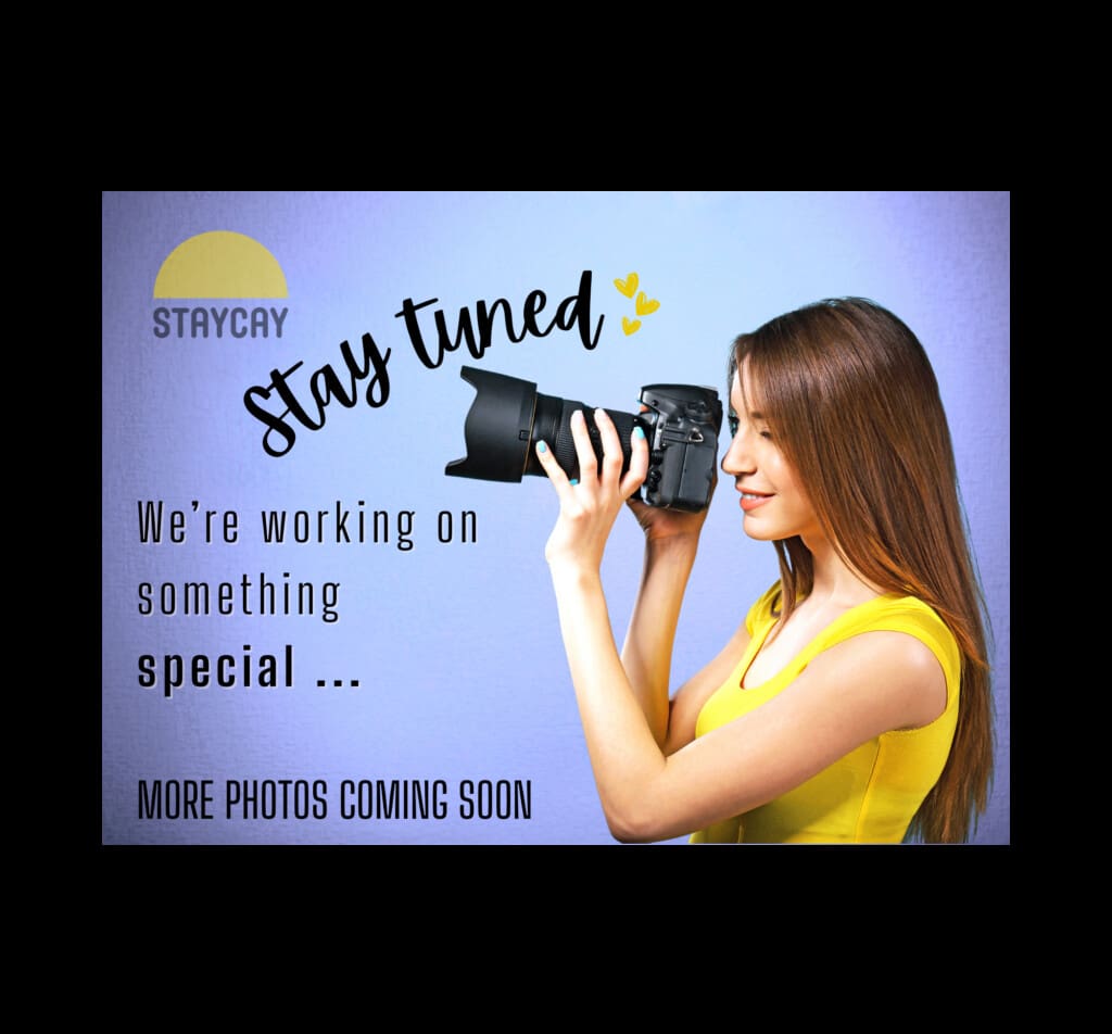 d7296d75 3bab 48f4 b701 51f0de4eaf57