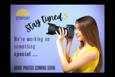 d7296d75 3bab 48f4 b701 51f0de4eaf57