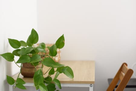 2a6155f8 bc6e 46da 9f5e c858cf52beeb