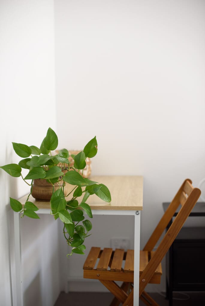 2a6155f8 bc6e 46da 9f5e c858cf52beeb