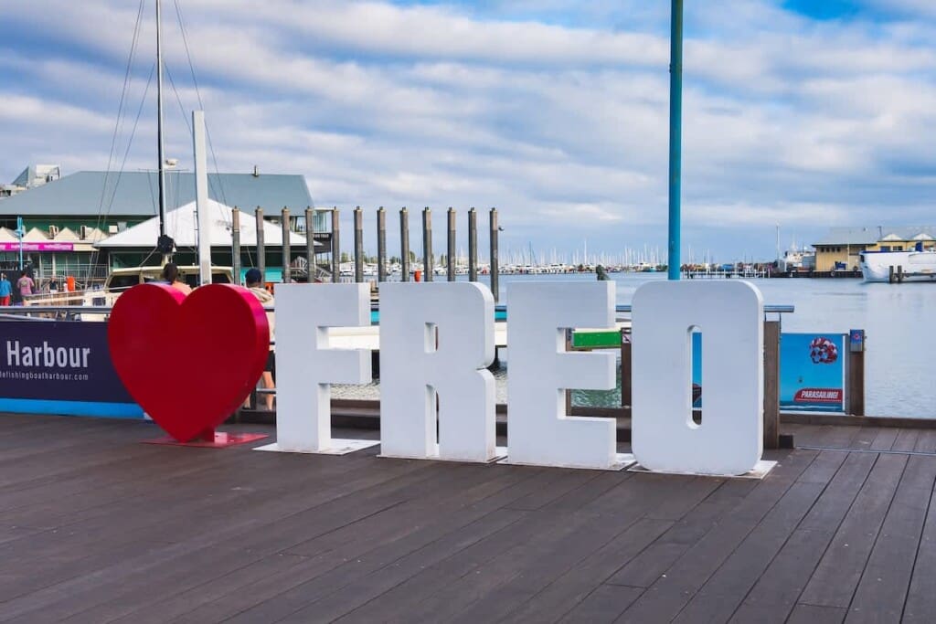 06529dc2 a2cc 48 MGDHy