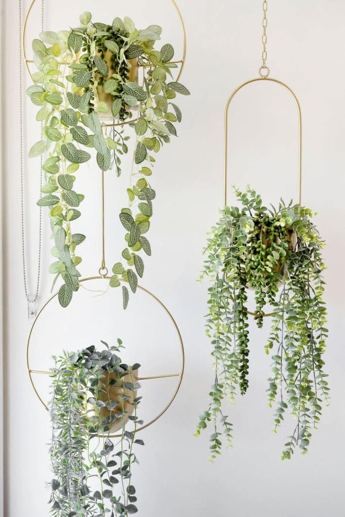 100977cc 6738 43 D9x f