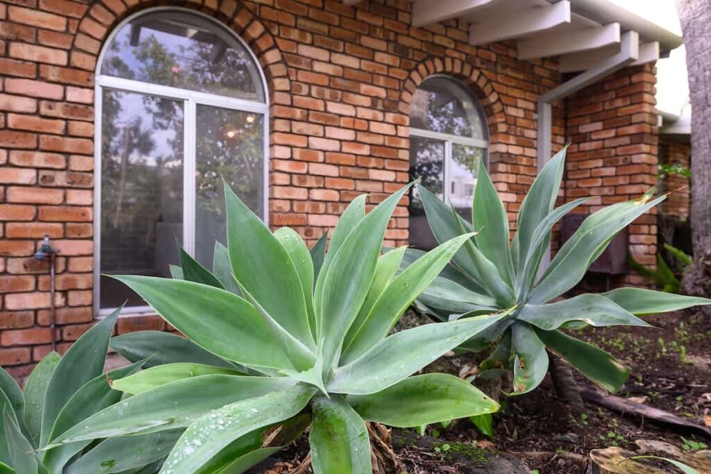 25e7b5de ef2e 45 3bMIu