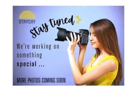 3a29eb03 03ee 44 rm16a