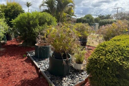 5f5a242a 38cd 4e DIxun