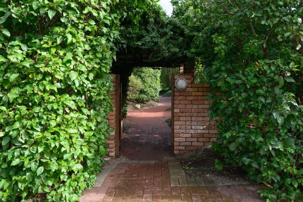 696f1a07 ef79 46 nmqlN