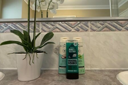 7a4101d0 e3d0 41 pWDW