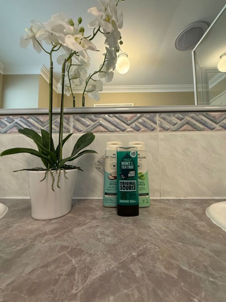 7a4101d0 e3d0 41 pWDW