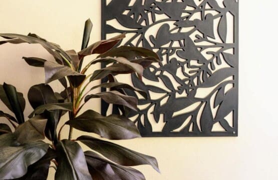 ampmodagimw6w9vpfq9b