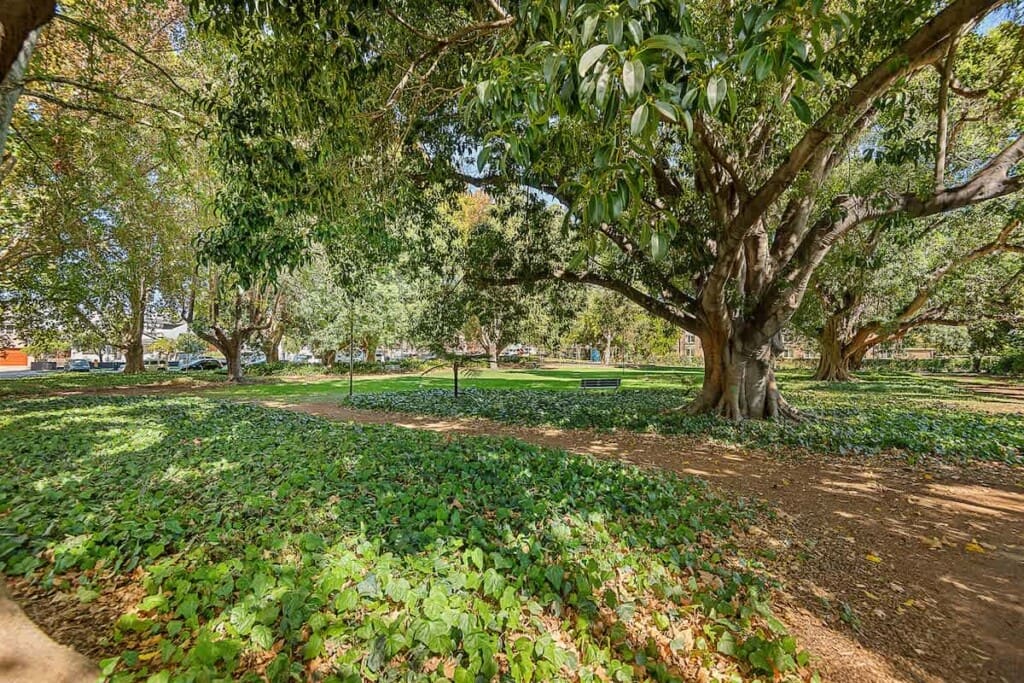 f80062f9 f8f1 4d cqmPo