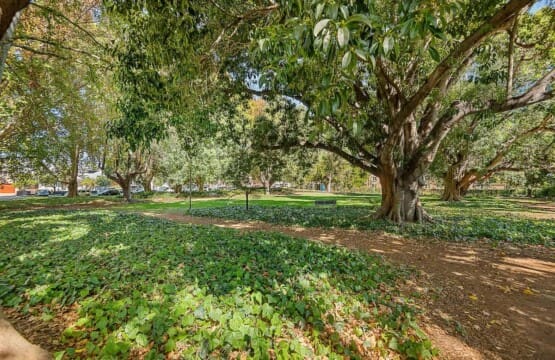 f80062f9 f8f1 4d cqmPo