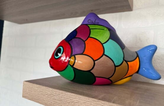 rsclggzzqgb5zoxz6hyq